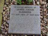 image of grave number 948233